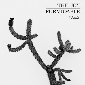 The Joy Formidable Cholla